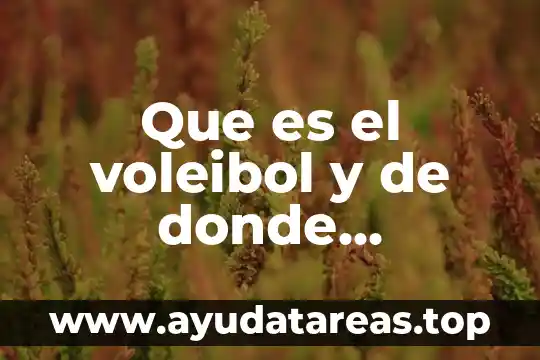 Que es word y de donde proviene 7 Que es el voleibol y de donde proviene el concepto