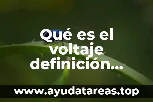 Agua de orchata que es 5 Qué es el voltaje definición concepto