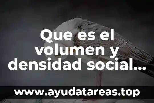 Que es tortura significado juridico 3 Que es el volumen y densidad social en juridico