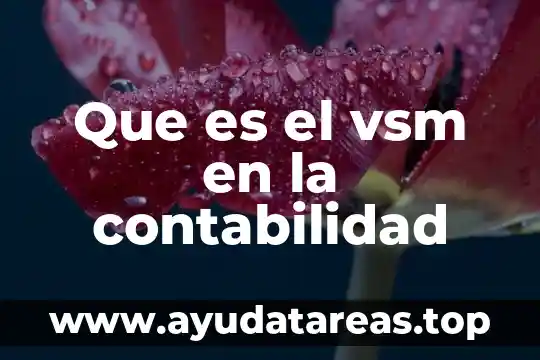 Que es el vsm en la contabilidad