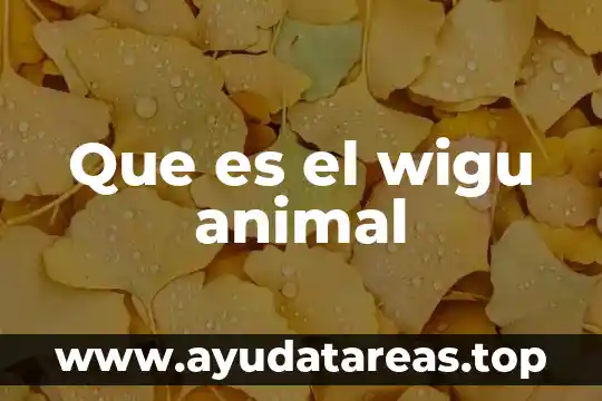Qué es un animal insectívoro 4 Que es el wigu animal