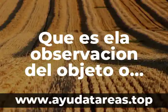 Que es un objeto bl 3 Que es ela observacion del objeto o fenomeno de invetigacion