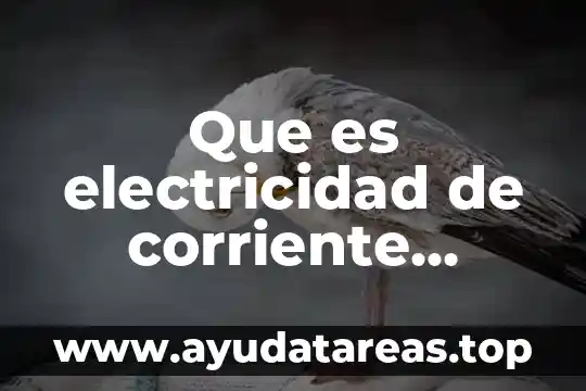Que es sistema de produccion continua 4 Que es electricidad de corriente continua