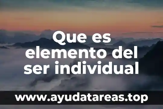 Que es elemento del ser individual