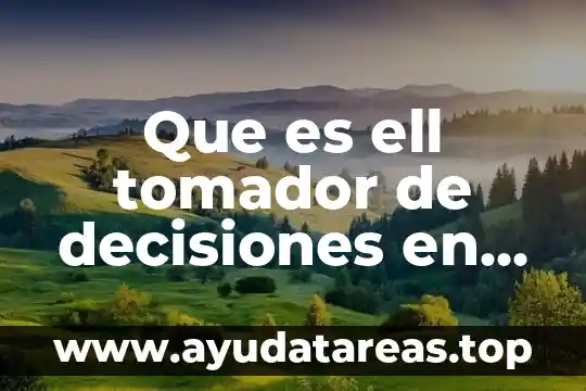 Que es ell tomador de decisiones en el mercado