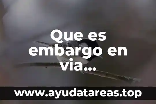 Que es un embargo y tipos de embargo 3 Que es embargo en via administrativa