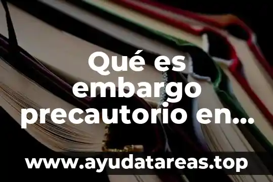 Que es un embargo y tipos de embargo 4 Qué es embargo precautorio en materia fiscal