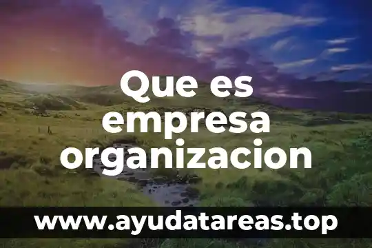 Que es empresa organizacion