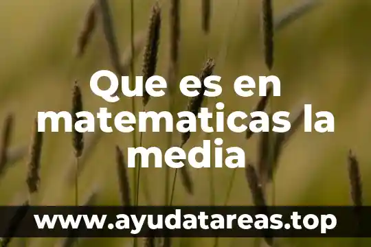 Que es un veinteabo en matemáticas 3 Que es en matematicas la media