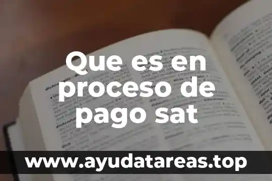 Que es la linea de captura sat 8 Que es en proceso de pago sat