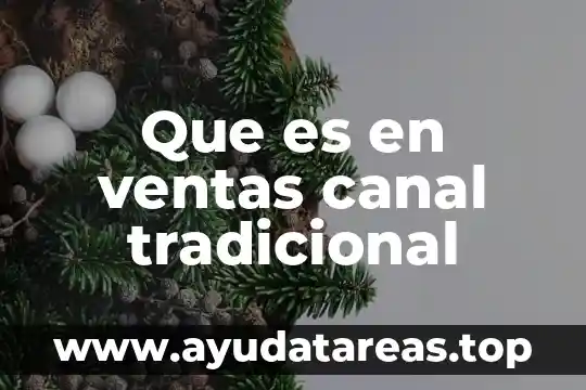 Que es en ventas canal tradicional