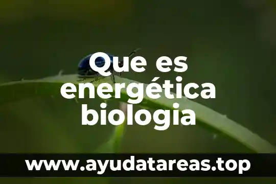Que es biogeoquimicos en biologia 3 Que es energética biologia