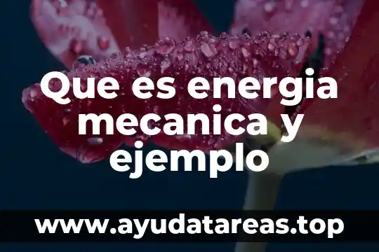 Qué es la fotosíntesis con la energía solar 3 Que es energia mecanica y ejemplo