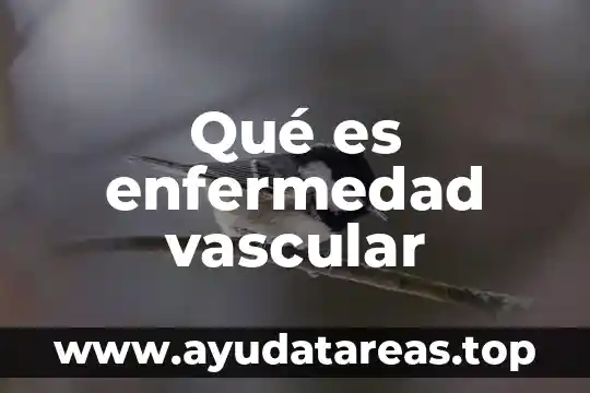 Nivel vascular que es 6 Qué es enfermedad vascular