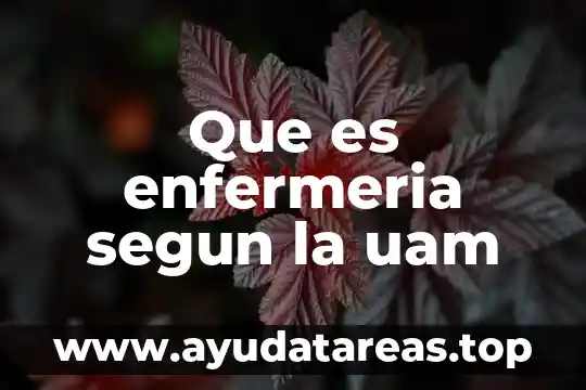 Que es enfermeria segun la uam