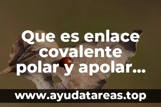 Que significa que es un grupo no polar hidrofóbico 3 Que es enlace covalente polar y apolar yahoo