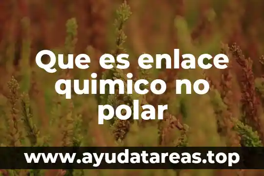 Que significa que es un grupo no polar hidrofóbico 8 Que es enlace quimico no polar
