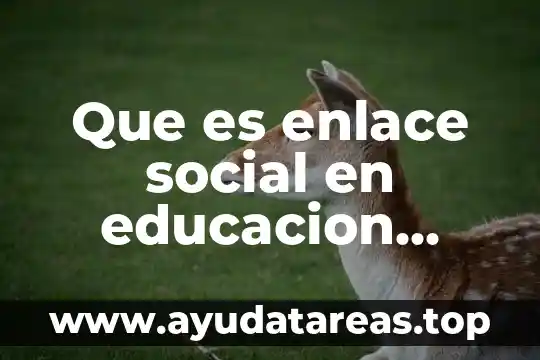 Que es de preparación general y especial 6 Que es enlace social en educacion especial