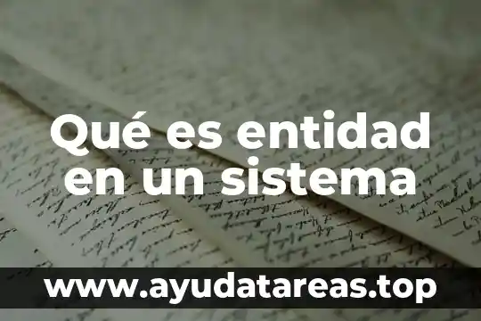 Qué es entidad en un sistema