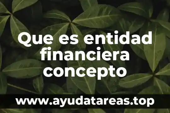 Que es entidad financiera concepto