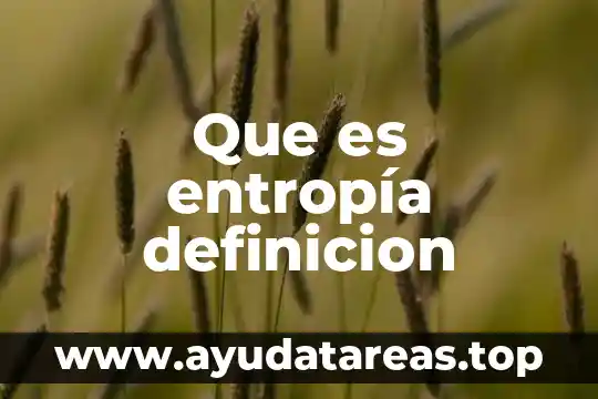Que es entropía definicion