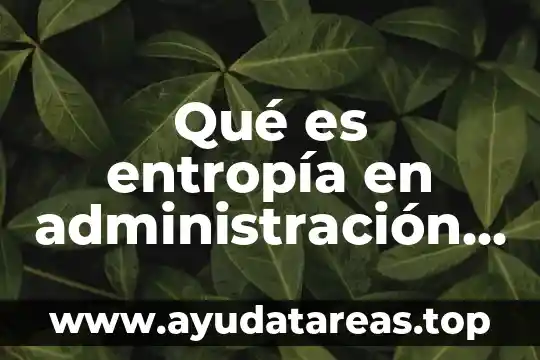 Qué es entropía en administración y técnicas de mantenimiento