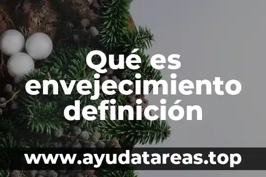 Que es la obesidad facil definicion 3 Qué es envejecimiento definición