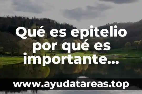 Por que es importante las tribus urbanas 8 Qué es epitelio por qué es importante para la homeostasis