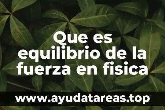 Que es fuerza en fisica y sus tipos 6 Que es equilibrio de la fuerza en fisica