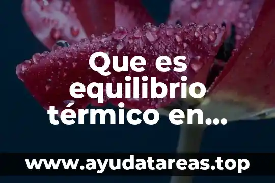 Que es equilibrio térmico en fisica