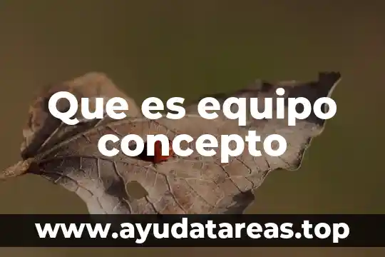 Que es equipo concepto
