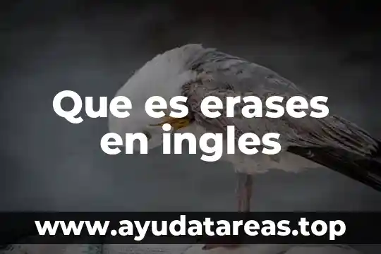 Que es el verbo en ingles 5 Que es erases en ingles
