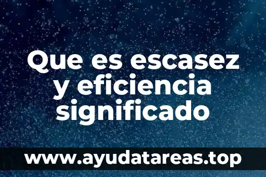 Los losetas que es el significado 7 Que es escasez y eficiencia significado