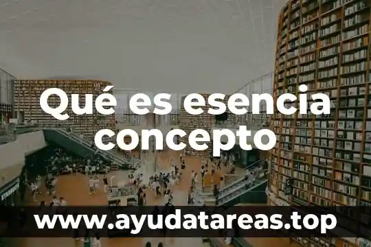 Concepto de que es un sircuito motris 6 Qué es esencia concepto
