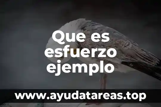 Que es esfuerzo ejemplo