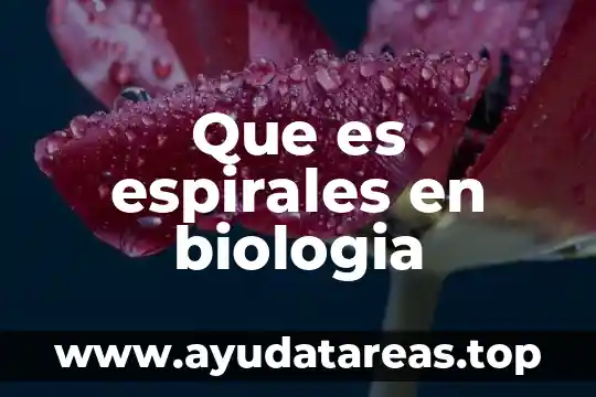 Que es conglomerado en biologia sangre y rh 6 Que es espirales en biologia
