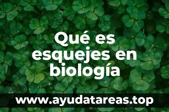 Circo del sol que es 7 Qué es esquejes en biología