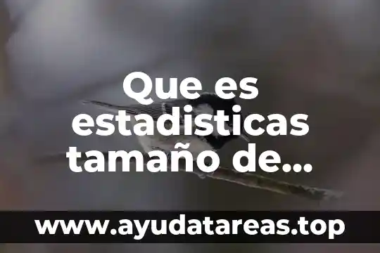 Que es estadisticas tamaño de muestra