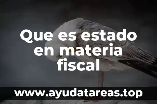 Que es estado en materia fiscal