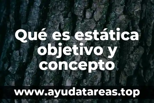 Qué es estática objetivo y concepto
