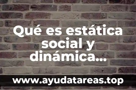 Qué es estática social y dinámica social