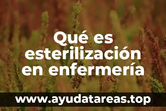 Que es la axiología en enfermeria 6 Qué es esterilización en enfermería