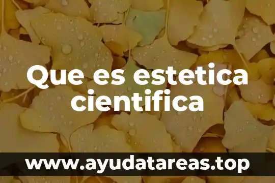 Que es estetica en el diseño 3 Que es estetica cientifica