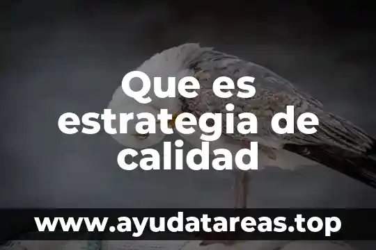 Calidad del agua potable que es 7 Que es estrategia de calidad