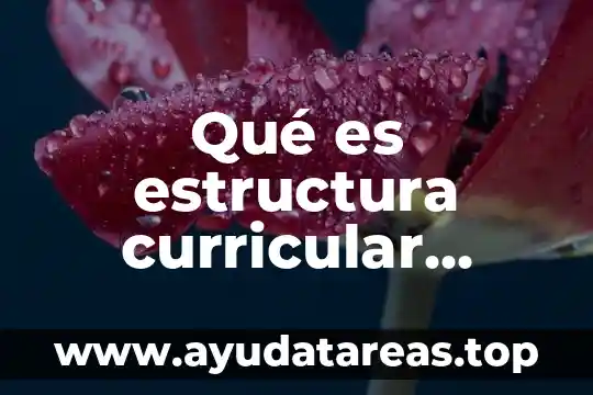 Que es la evaluacion educativa y los tipos de evaluacion 8 Qué es estructura curricular educativa