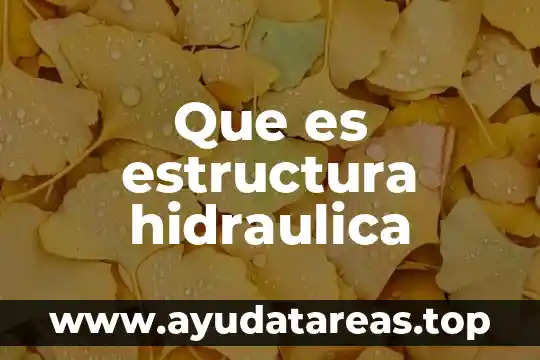 Que es estructura hidraulica