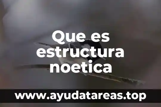 Que es una estructura relacional 7 Que es estructura noetica