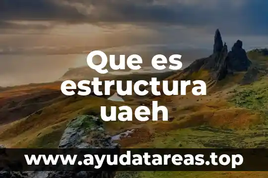 Que es estructura uaeh
