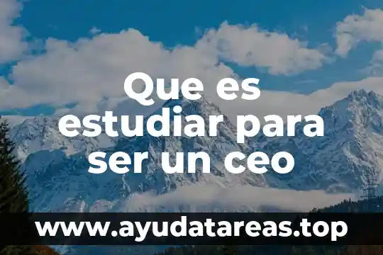 Que es estudiar para ser un ceo