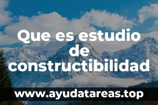 Que es revit estudio 6 Que es estudio de constructibilidad